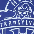 Miniatyrbillede 3 af 4: Hotel Transylvania T-shirt med drengelogo