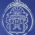 Miniatyrbillede 4 af 4: Hotel Transylvania T-shirt med drengelogo