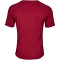 Miniatyrbild 2 av 2: Tee Jays CoolDry T-Shirt för män