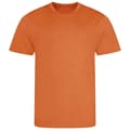 Miniatyrbilde 1 av 2: AWDis Cool Mens T-Shirt