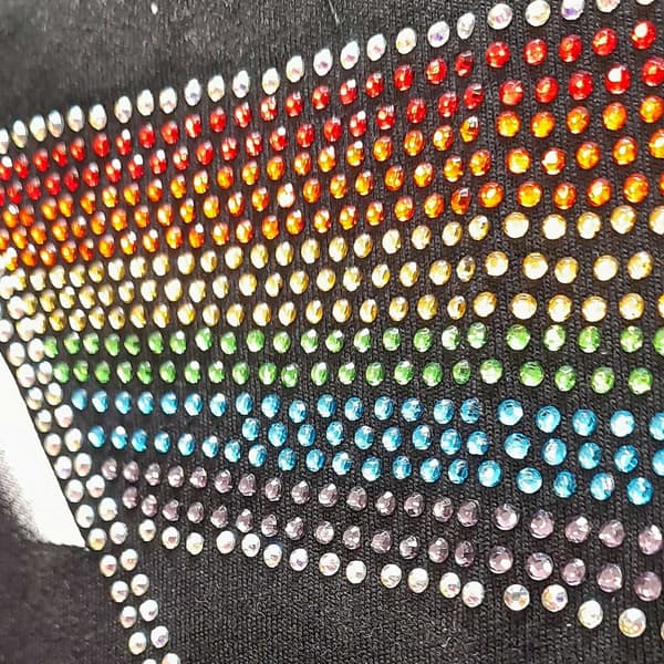 Pink Floyd Womens/Ladies Dark Side Of The Moon Embellished T-Shirt
