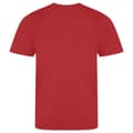 Miniatyrbillede 2 af 2: AWDis Cool Unisex voksen glat T-shirt