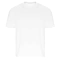 Pikkukuva 1 / 2: Ecologie Unisex Adult Arrow Recycled Heavy Oversized T-Shirt