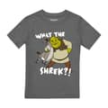 Miniatyrbild 1 av 2: Shrek T-shirt för pojkar - Best Buds
