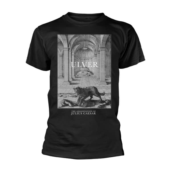 Ulver Unisex vuxen The Wolf And The Statue T-shirt