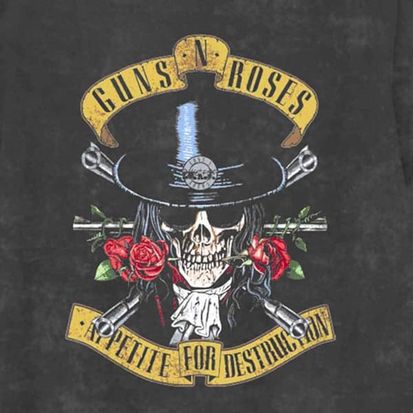 Guns N Roses Childrens/Kids Appetite For Destruction T-Shirt