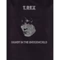 Miniatyrbild 2 av 2: T-Rex Dandy T-shirt - dam/dam