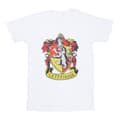 Miniatyrbillede 1 af 5: Harry Potter Boys Gryffindor Cotton T-Shirt