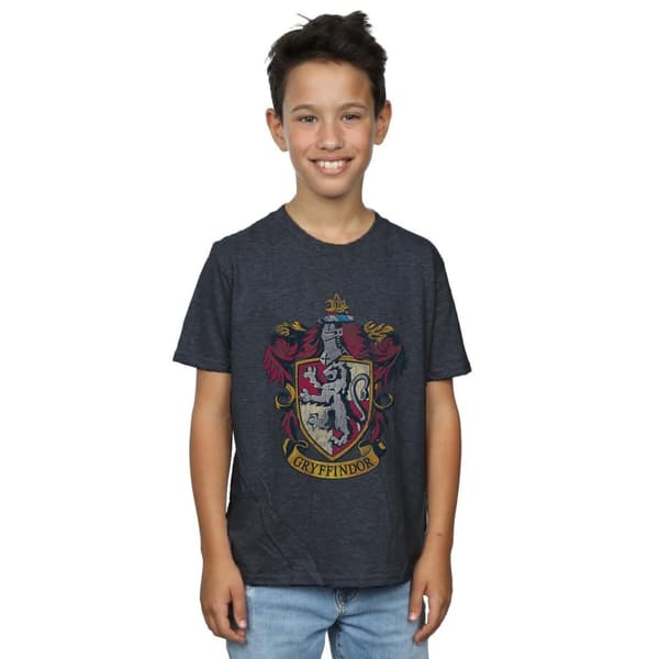 Harry Potter Boys Gryffindor Cotton T-Shirt