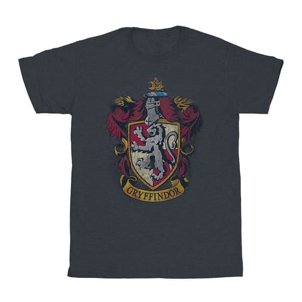 Harry Potter Boys Gryffindor Cotton T-Shirt