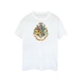 Miniatyrbillede 1 af 5: Harry Potter Mens Hogwarts Cotton T-Shirt