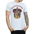 Miniatyrbillede 1 af 5: Harry Potter Mens Gryffindor T-Shirt