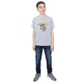 Pikkukuva 4 / 5: Harry Potter Boys Hufflepuff Cotton T-Shirt