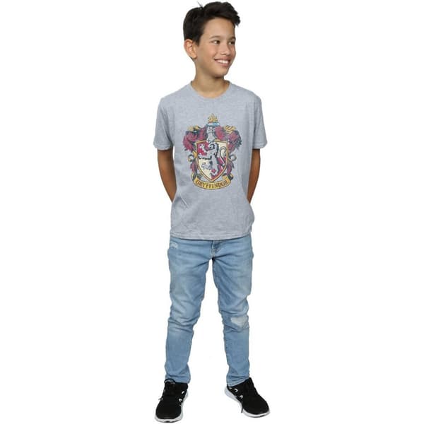 Harry Potter Boys Gryffindor T-Shirt