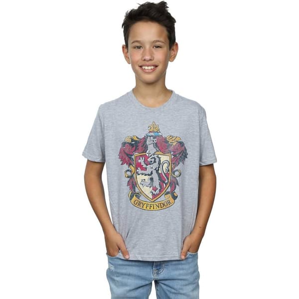 Harry Potter Boys Gryffindor T-Shirt