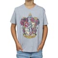 Miniatyrbillede 1 af 4: Harry Potter Boys Gryffindor T-Shirt