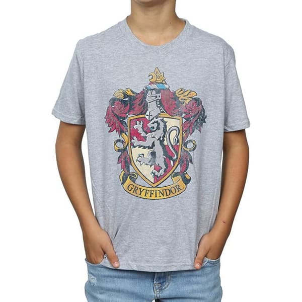 Harry Potter Boys Gryffindor T-Shirt