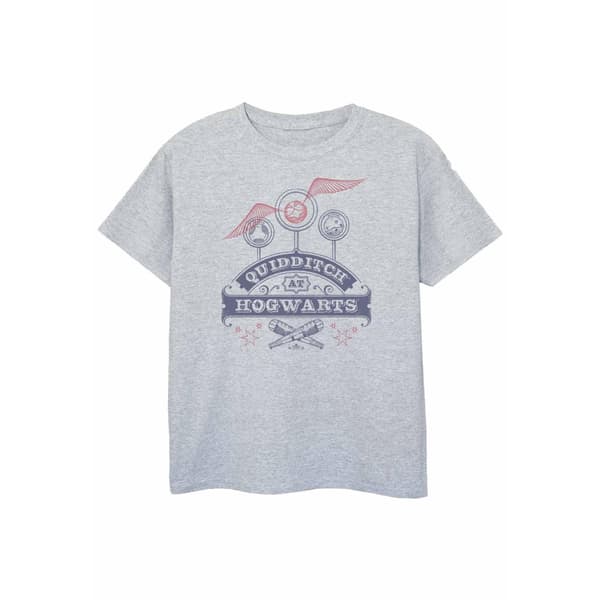 Harry Potter Girls Quidditch At Hogwarts T-Shirt Sports Grey 12-13 Years