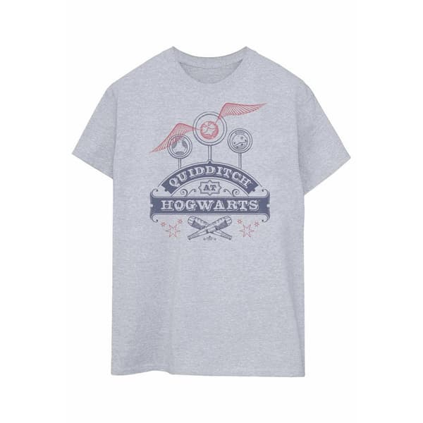 Harry Potter Quidditch At Hogwarts T-shirt för herrar