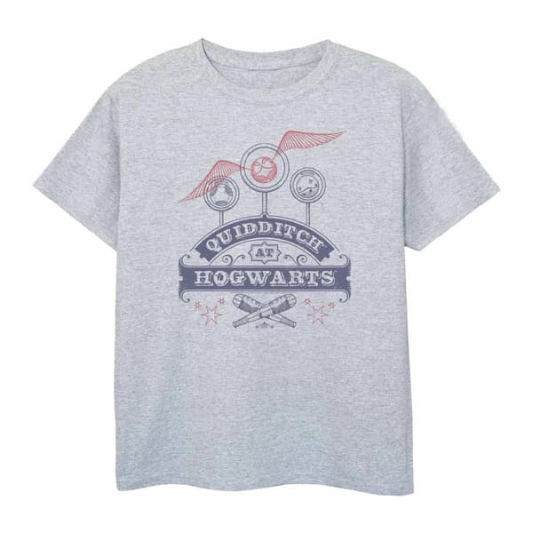 Harry Potter Boys Quidditch T-Shirt Sports Grey 7-8 Years