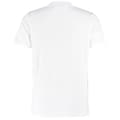 Pikkukuva 2 / 2: Kustom Kit Mens Cooltex Plus Moisture Wicking T-Shirt
