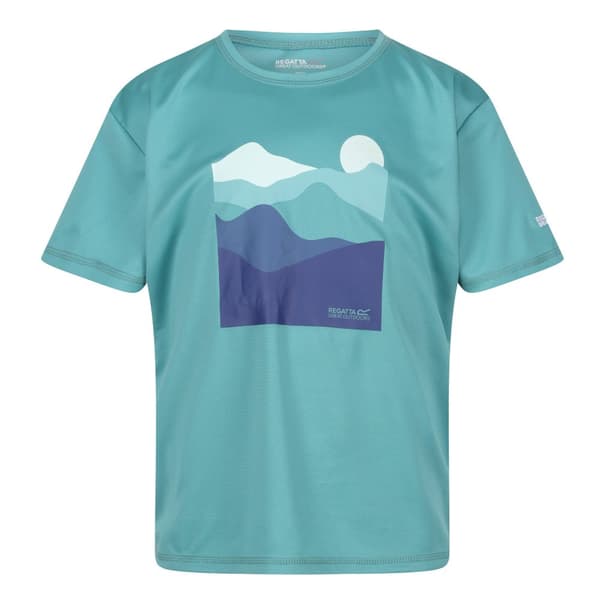Regatta Childrens/Kids Alvarado VII Mountain T-Shirt Bristol Blue 13 Years