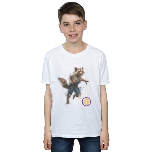 Marvel Boys Avengers Endgame Painted Rocket T-Shirt