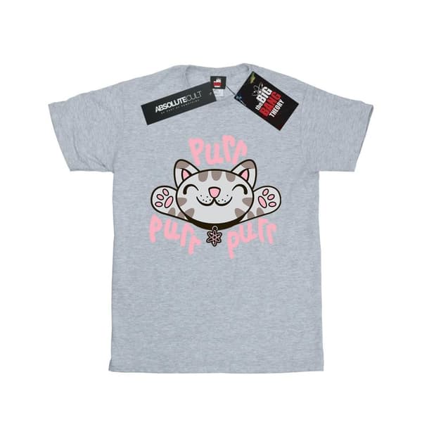 Big Bang Theory Womens/Ladies Soft Kitty Purr Cotton Boyfriend T-Shirt