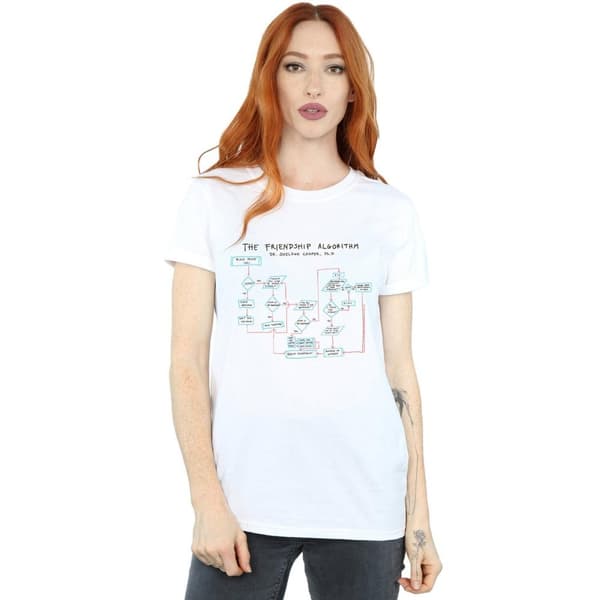 The Big Bang Theory Womens/Ladies Friendship Algorithm Cotton Boyfriend T-Shirt
