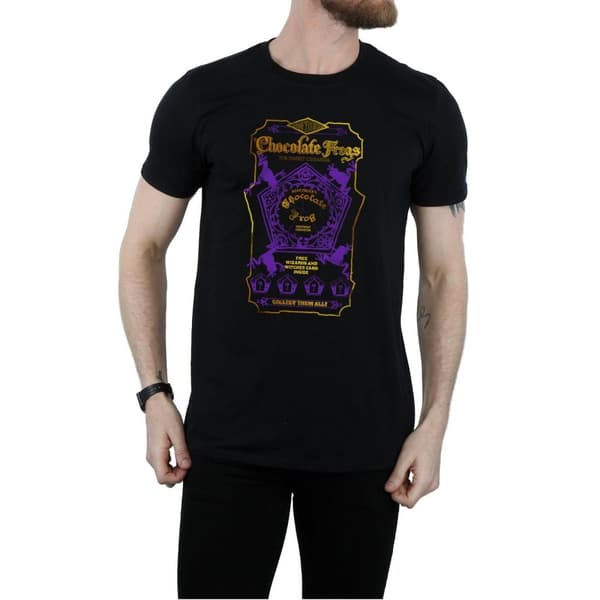 Harry Potter Mens Chocolate Frogs Coloured Label T-Shirt