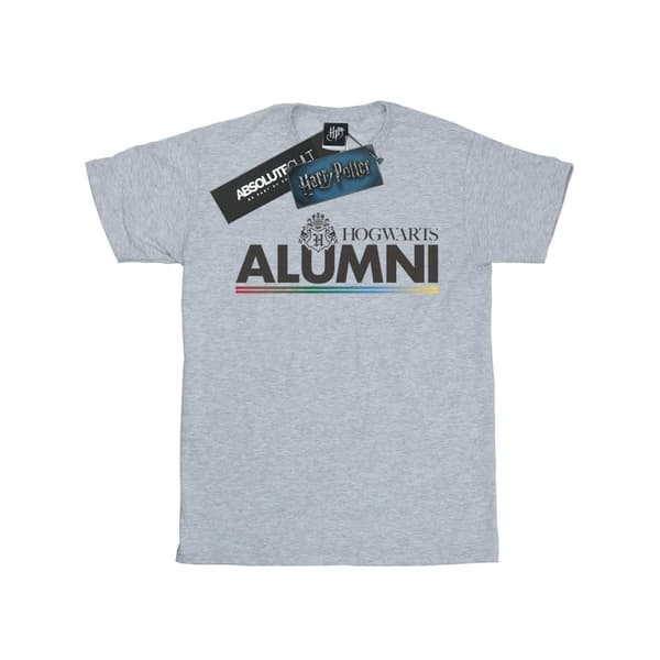 Harry Potter Mens Hogwarts Alumni T-Shirt Sports Grey 4XL