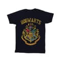 Miniatyrbillede 1 af 3: Harry Potter Mens Hogwarts Varsity T-Shirt