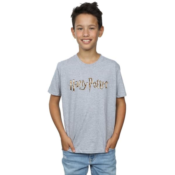 Harry Potter T-shirt med logotyp i fullfärg för pojkar