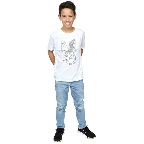 Harry Potter Pojkar - Dragon Line Art T-shirt