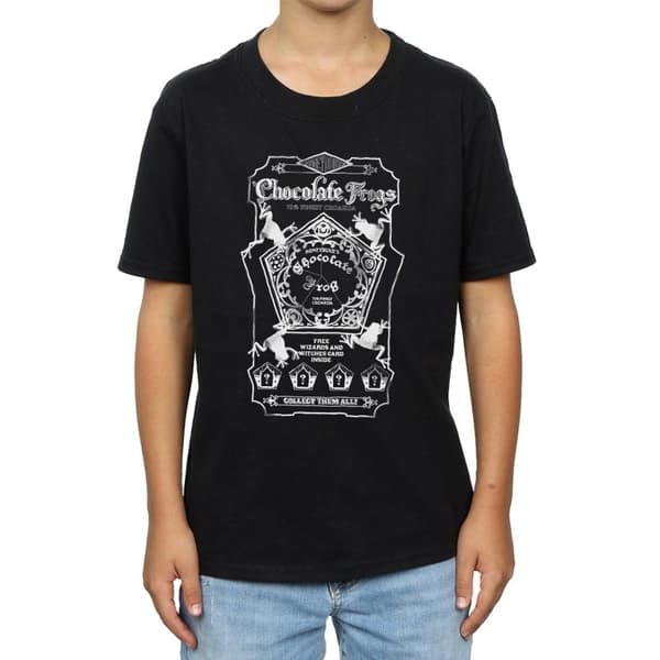Harry Potter Pojkar Chocolate Frogs Mono Label T-shirt