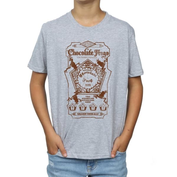 Harry Potter Pojkar Chocolate Frogs Mono Label T-shirt