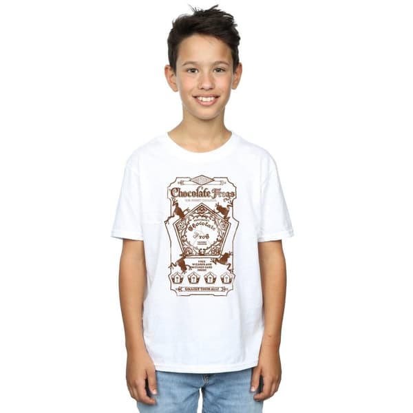 Harry Potter Pojkar Chocolate Frogs Mono Label T-shirt