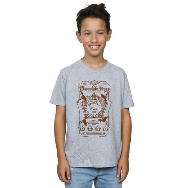 Harry Potter Pojkar Chocolate Frogs Mono Label T-shirt