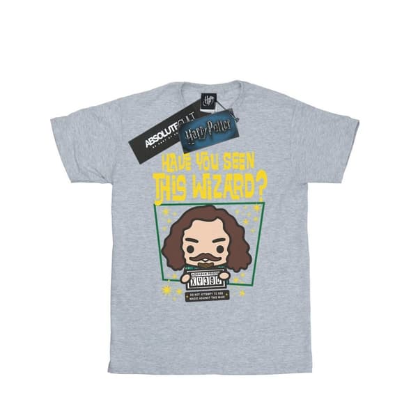 Harry Potter Sirius Black Azkaban Junior T-shirt i bomull för flickor Sports Grey 5-6 Years