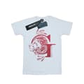 Miniatyrbillede 1 af 5: Harry Potter Girls Gryffindor Glitter Cotton T-Shirt