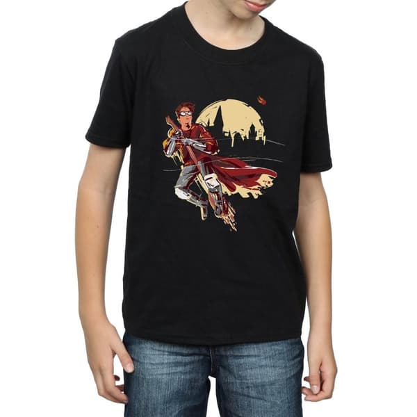 Harry Potter Boys Quidditch Seeeker T-Shirt