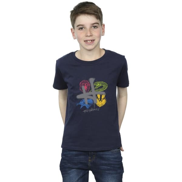 Harry Potter Boys Emblems H Spray T-Shirt
