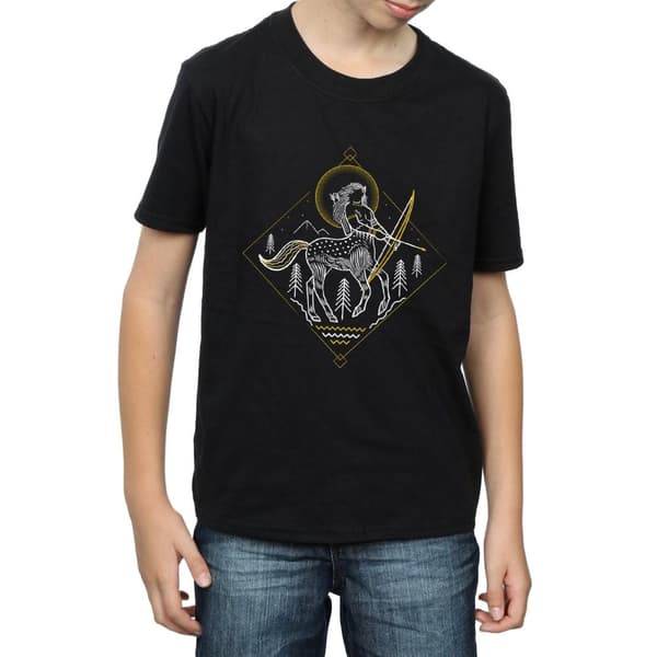 Harry Potter Boys Centaur Line Art T-Shirt