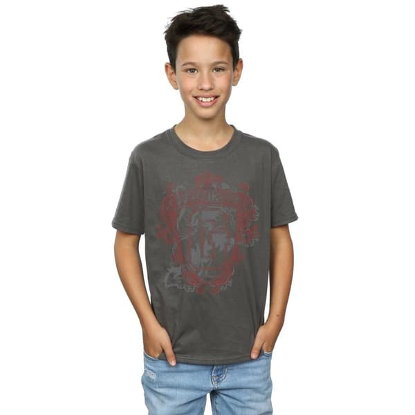 Harry Potter Boys Gryffindor Lion Crest T-Shirt