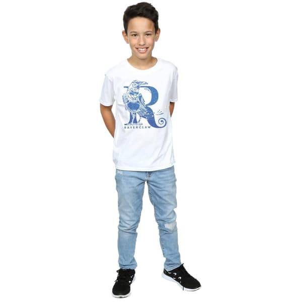 Harry Potter Boys Ravenclaw Glitter T-Shirt