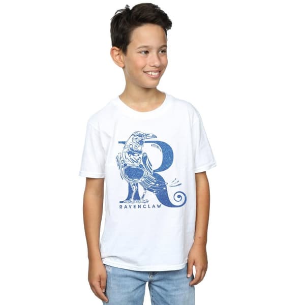 Harry Potter Boys Ravenclaw Glitter T-Shirt