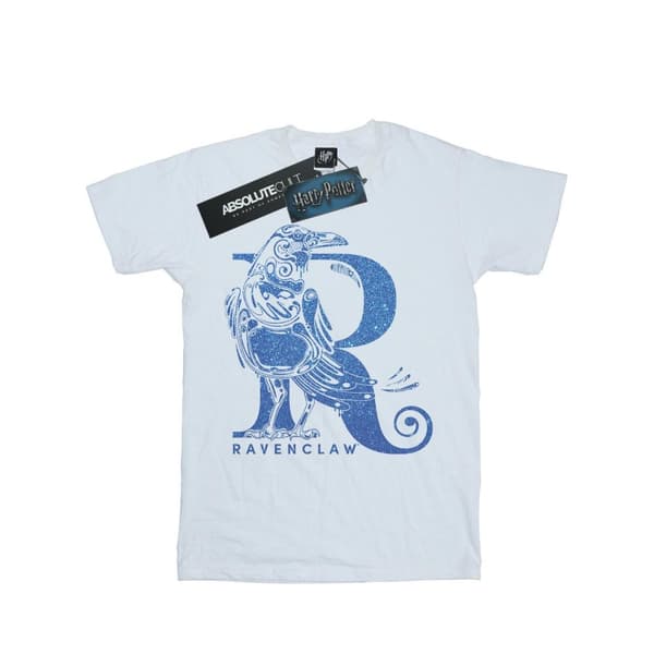 Harry Potter Boys Ravenclaw Glitter T-Shirt