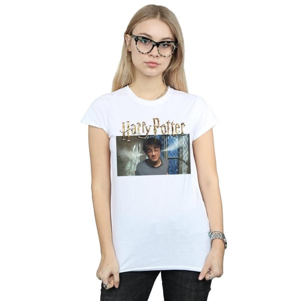 Harry Potter Womens/Ladies Steam Ears Cotton T-Shirt