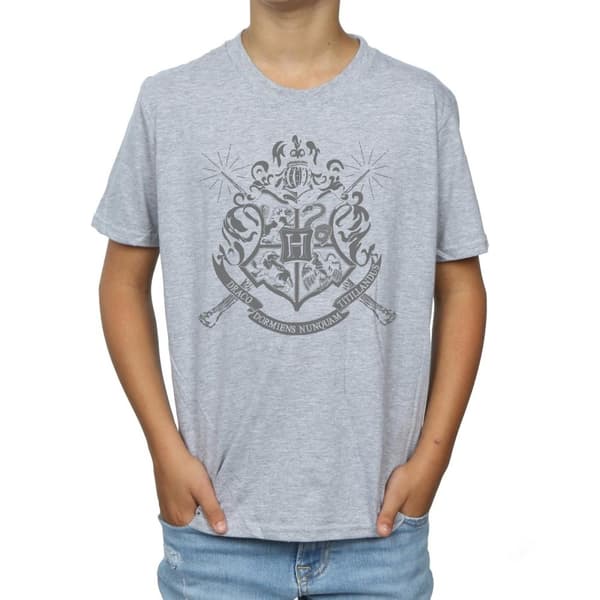 Harry Potter Boys Hogwarts Badge Wands T-Shirt