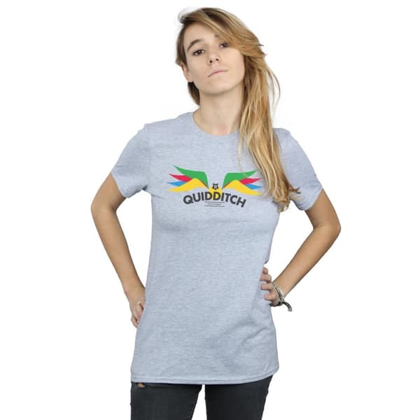 Harry Potter Womens/Ladies Snitch Wings Pastels Cotton Boyfriend T-Shirt